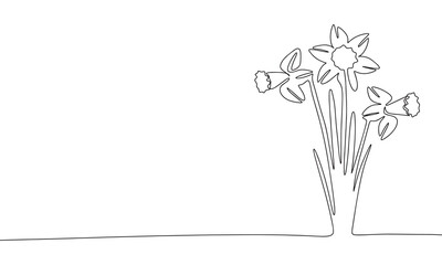 One line continuous daffodils. Flowers concept banner in line art hand drawing style. Outline vector illustration.