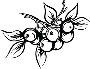 Cranberry Logo Monochrome Design Style