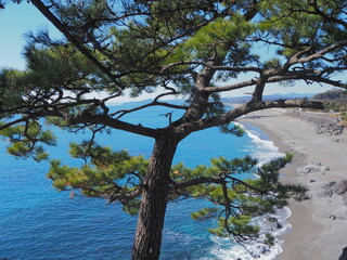 海を見下ろす絶景