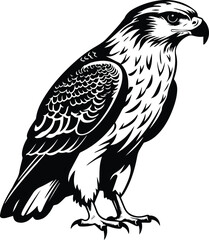 Fototapeta premium Hawk Logo Monochrome Design Style
