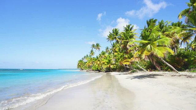 Paradise sunny beach with coconut palms on white sandy beach and blue sea. Popular tourist destination in summer. Beautiful white beaches of Mauritius island. Summer travel concept. Rest on the sea.