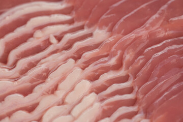 Fresh raw sliced bacon macro