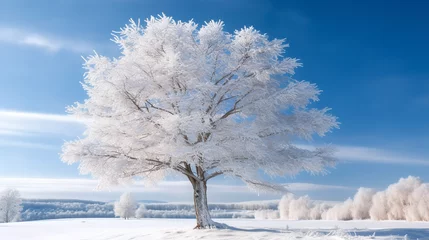Fotobehang trees in the snow © Volodymyr Skurtul