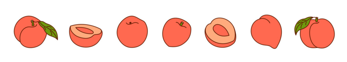 Set of hand-drawn peaches on a transparent background. Isolated vector illustration of apricots or nectarines