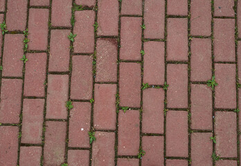 old brick wall with white and red brick background.