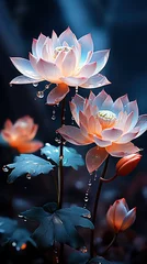 Tuinposter water lily in the water © Yi_Studio