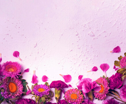 colourful flowers space template
