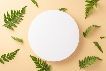 Natural beauty concept. High angle view photo of white empty circle surrounded by branches of fern on isolated beige background with copy-space