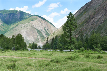 Fototapeta premium Mountain tops on the background, blue sky with clouds in summer. Beautiful nature of the Altai Mountains. 