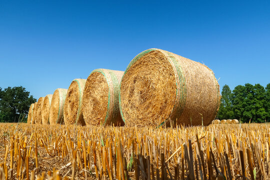 Hay bales agriculture agricultural field,panorama,landscape view detail close up