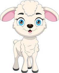 cute lamb cartoon on white background