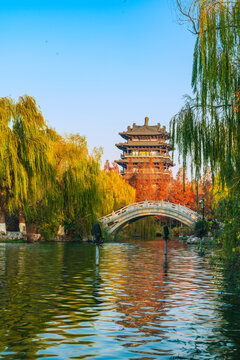 The spring city of Jinan in golden autumn, the colorful autumn colors of Daming Lake Scenic Area