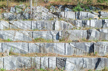 Steps of the Old Abandoned Marble Quarry with Growing Young Trees