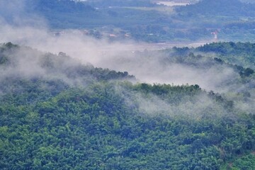 fog in the mountains