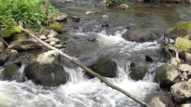 Elbbach bei Willmenrod im Westerwald