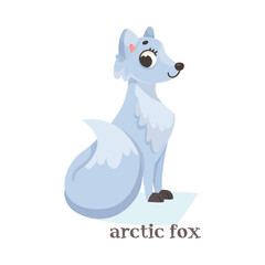 White Arctic Fox Sitting as Animal of North Vector Illustration