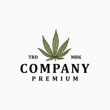 Cannabis Leaves Logo Vector Illustration