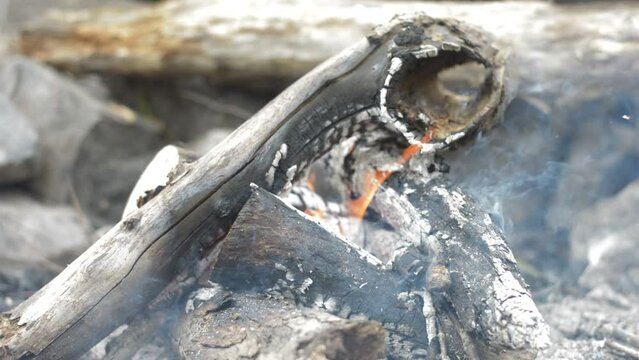 Campfire in North Carolina Fire Wood Burning