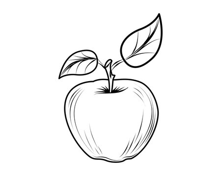Apple. Fruit. Contour drawing. Coloring book for children. Line. Icon. White background.  Concept for design, teaching, printing, for web design. Also used for stickers, templates, stencils.