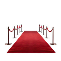 red carpet with red rope and barriers