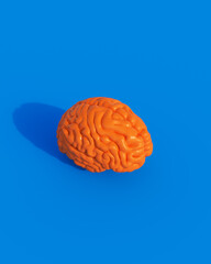 Orange shiny brain human mind intelligence organ anatomy sunlight blue background 3d illustration render digital rendering