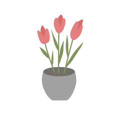 Beautiful Houseplants