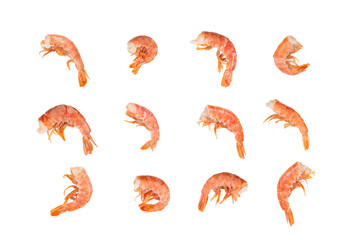 Set of Red prawn or shrimp isolated on white background with clipping path. Full Depth of field. Focus stacking. PNG