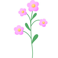 Pink flower illustration.