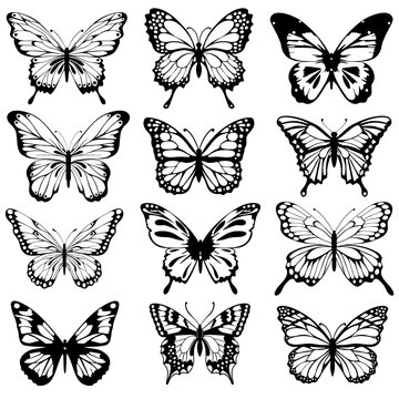 Collection of different butterflies, outlined sketches of flying insects. Engraved hand-drawn vector illustration isolated on white background