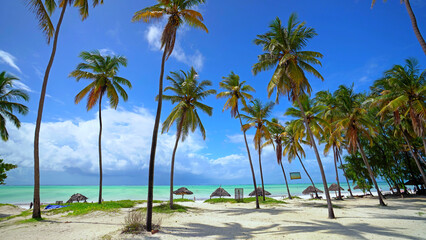 Sansibar Strand mit Palmen