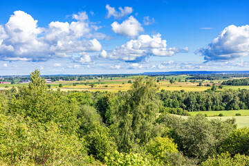 View at a country landscape in the summer