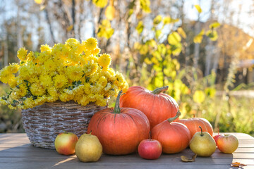 Autumn fall composition with pumpkins, apples and basket with chrysanthemums. Concept of...