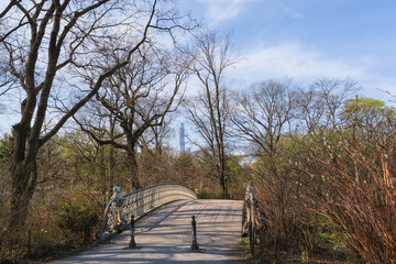 New York, USA - April 13, 2023: View of Manhattan's Central Park in spring