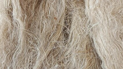 Linen Texture Background Abstract thread on a Linen Fabric - Powered by Adobe