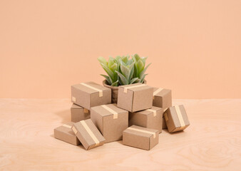 Cardboard boxes and relocation to new modern flat. Green plant in an ecological pot.