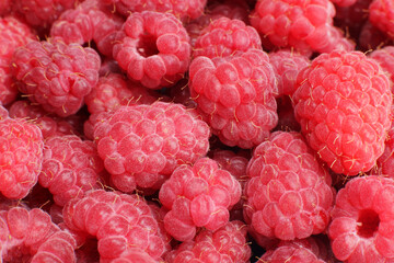 Background, texture of fresh sweet red raspberries