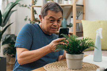 A mature Asian gardener now captures the essence of his indoor garden project with his smartphone, showcasing his horticultural prowess.