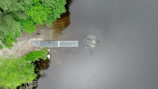 Aerial overhead video of black lab jumping from a dock and into a pond chasing a stick Burrillville, RI