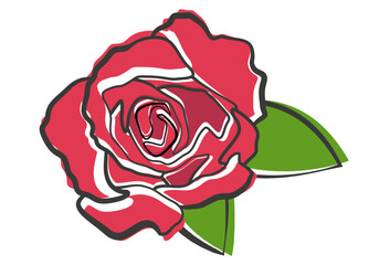 Red rose isolated on white background. Red rose drawing by hand. Vector illustration.
