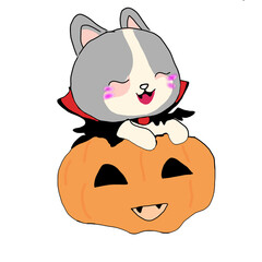 halloween cat with pumpkin