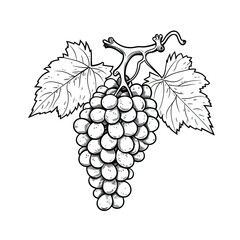 Obraz premium vine grape ai generated