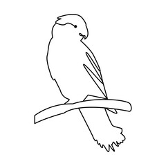Bird single line art vector design and line art vector drawing
