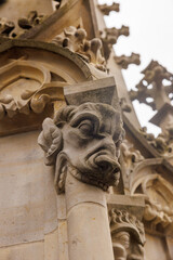 gargoyle on the walls of Berner Münster in Bern