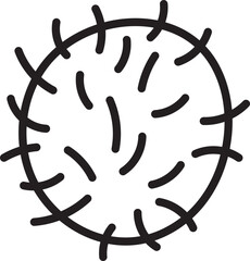 rambutan fresh fruit nature food