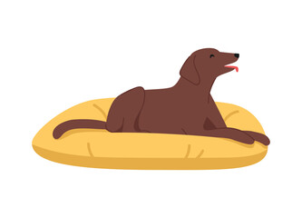 The dog lies on the dog bed