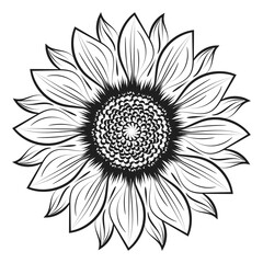 Sunflower Outline, Sunflower Line Art, Floral Line Drawing, black and white sunflowers vector illustration