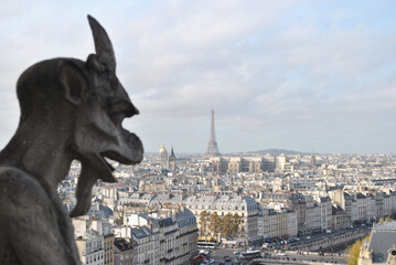 Gargoyle of Notre Dame Cathedral, with the city of Paris in the background, France.