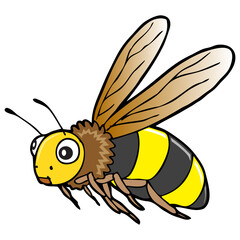 wasp vector illustration