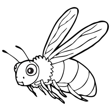 wasp outline vector illustration