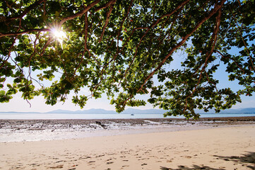 Sunny dayon the tropical sea beach.